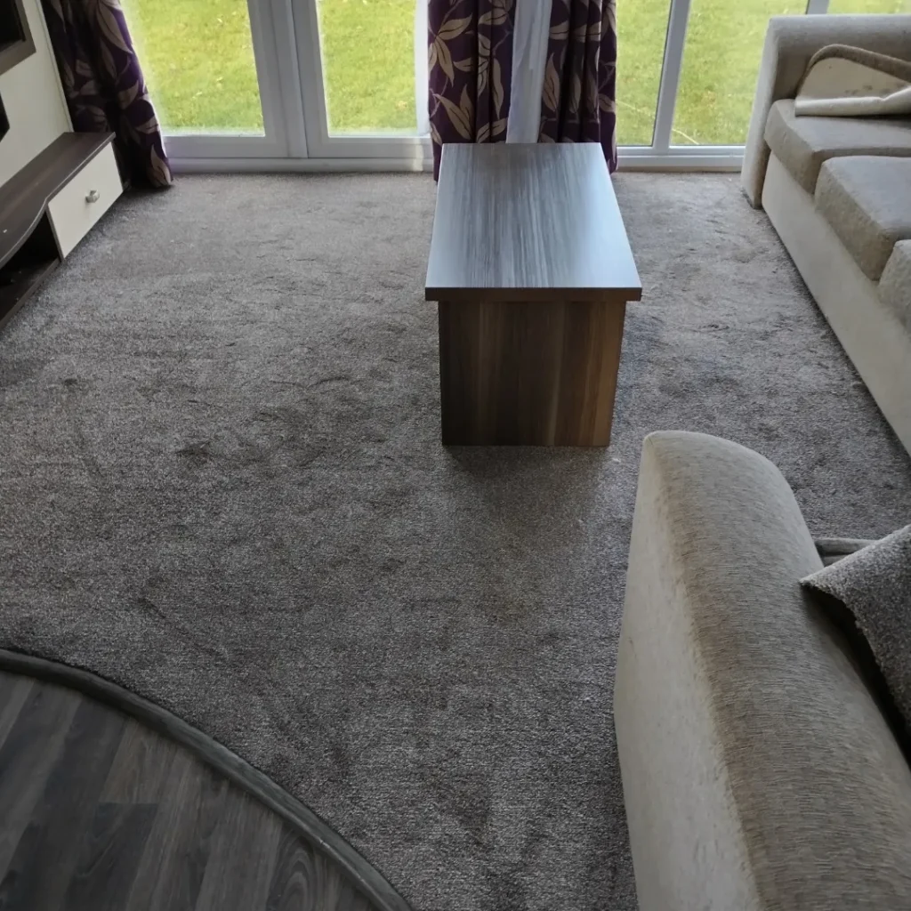 carpet new